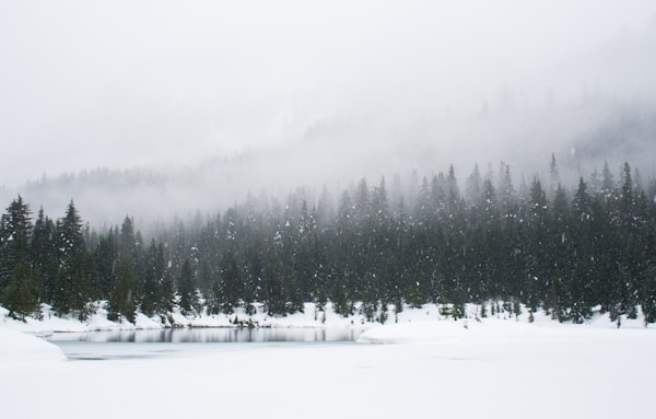 宁静雪景梦境