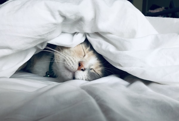 健康睡眠示意图
