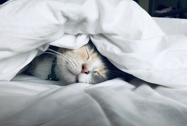 舒适睡眠环境