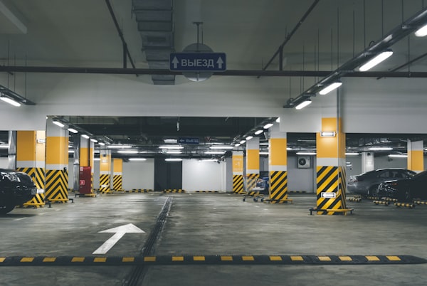 高品质燕窝展示
